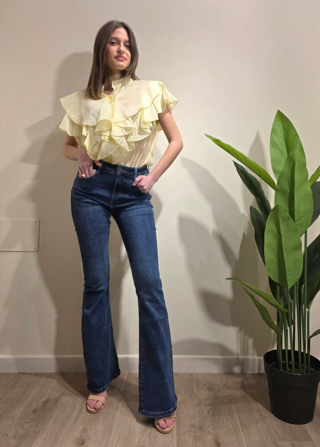 Jeans a zampa