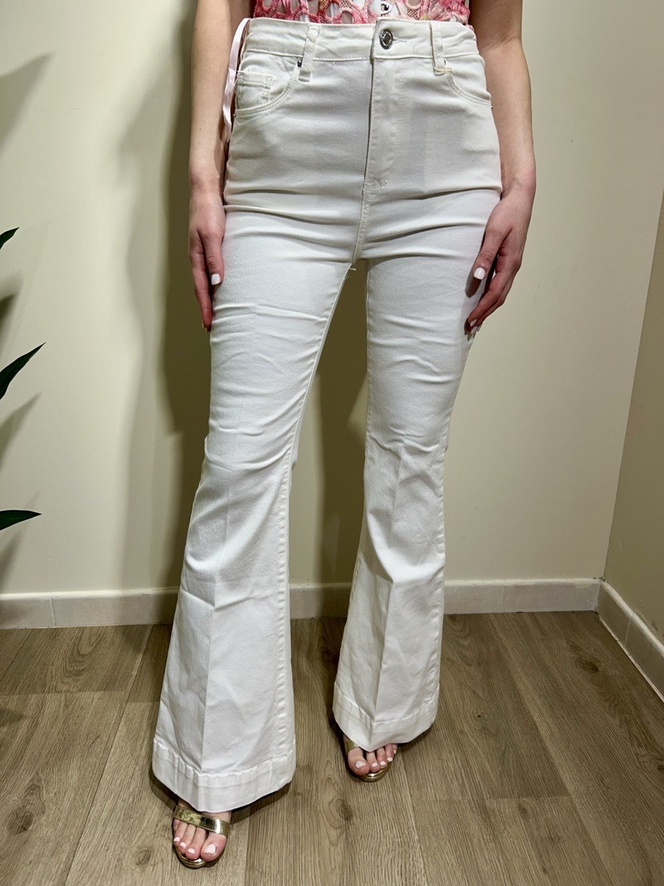Jeans a zampa