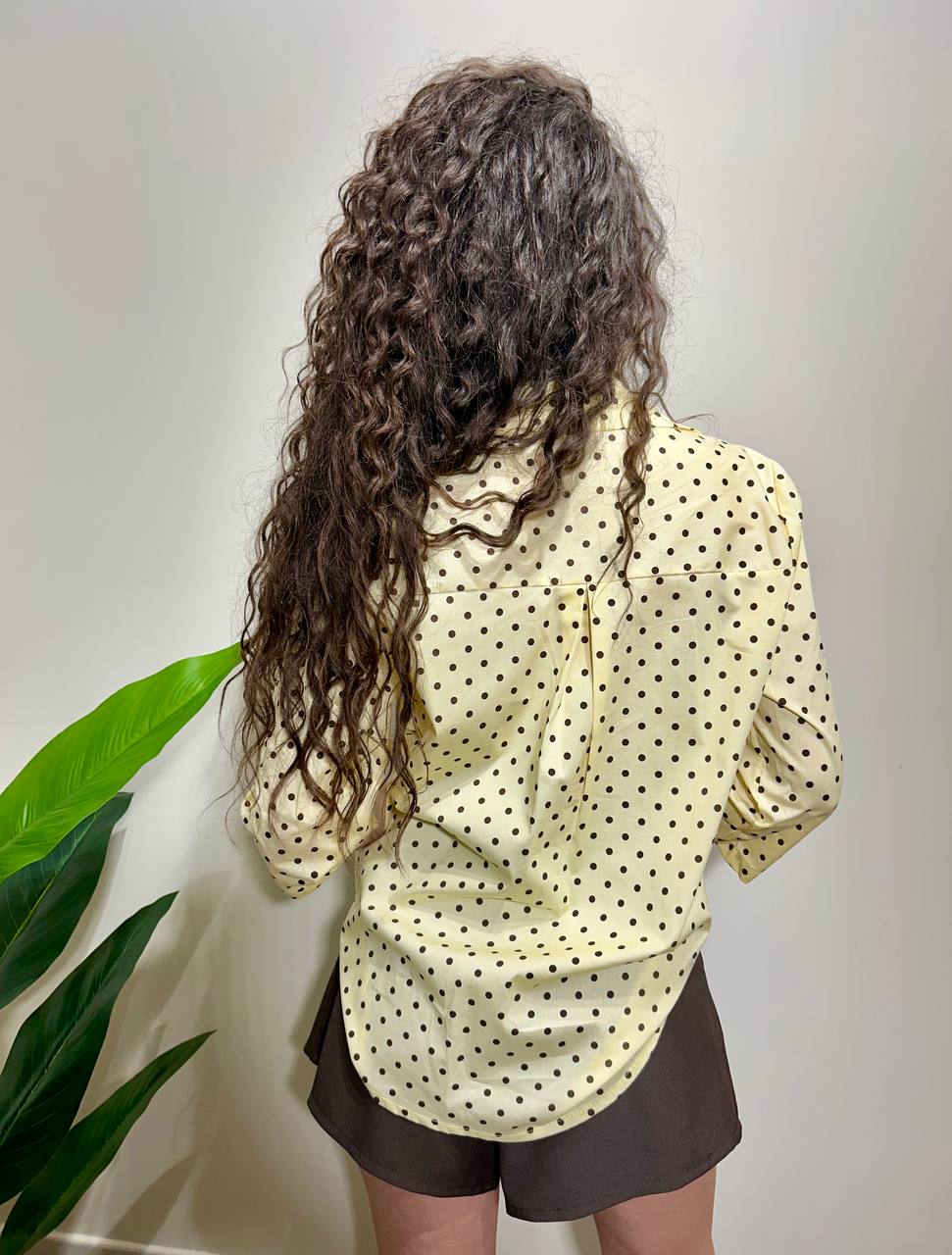 Camicia pois